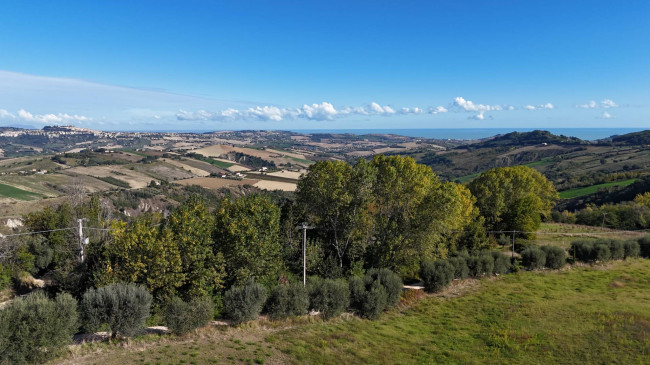 Terreno Agricolo in vendita a Monterubbiano