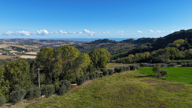 Terreno Agricolo in vendita a Monterubbiano