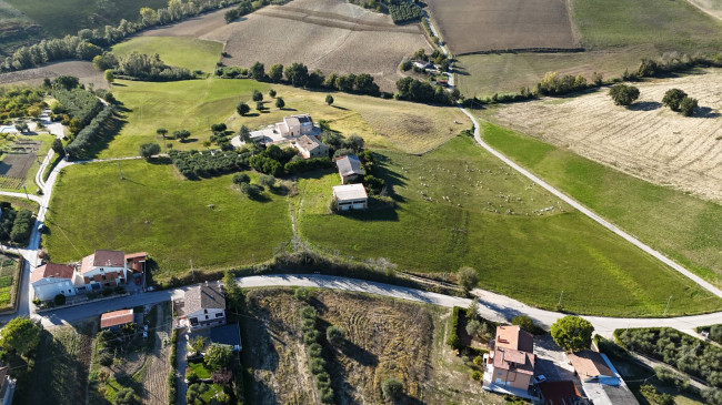 for sale in Fermo