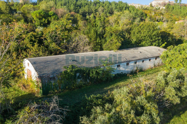 Rustico in vendita a Montegiorgio