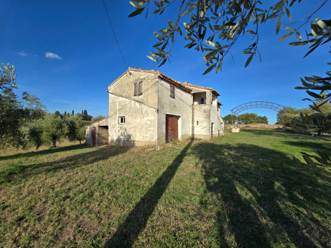 Rustico in vendita a Montelupone