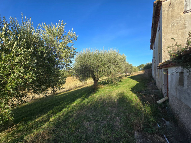 Rustico in vendita a Montelupone