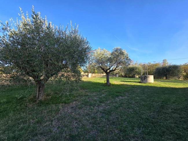 Rustico in vendita a Montelupone