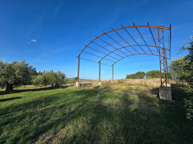 Rustico in vendita a Montelupone