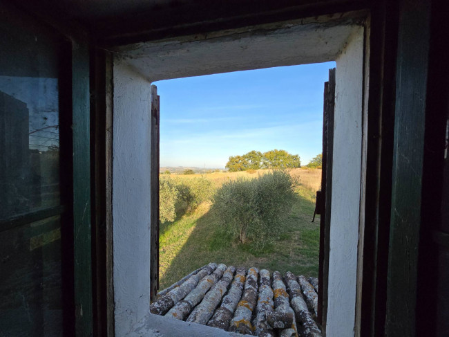 Rustico in vendita a Montelupone