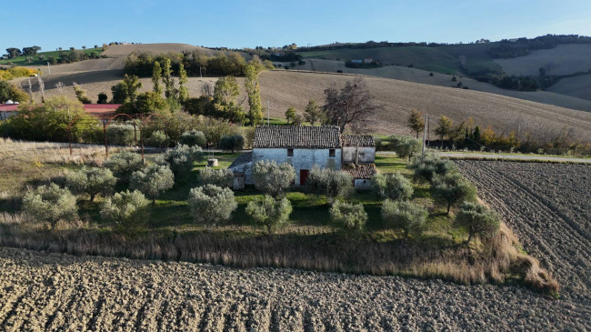 Rustico in vendita a Montelupone