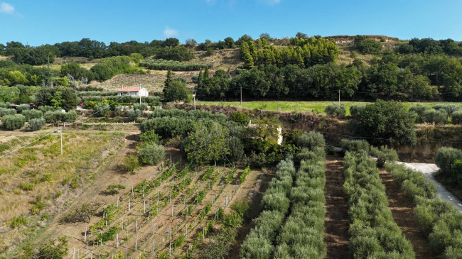 Contry House for sale in Campofilone