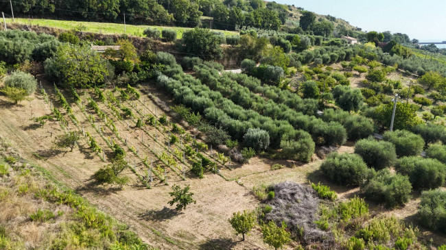 Contry House for sale in Campofilone