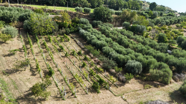 Contry House for sale in Campofilone