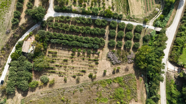 Contry House for sale in Campofilone