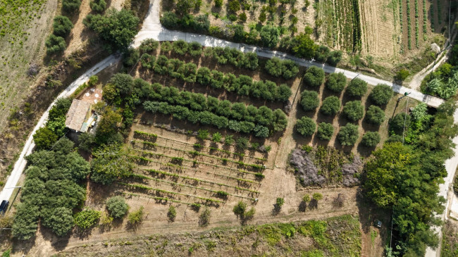 Contry House for sale in Campofilone