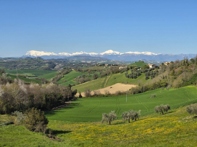 Apartment for sale in Monte Giberto