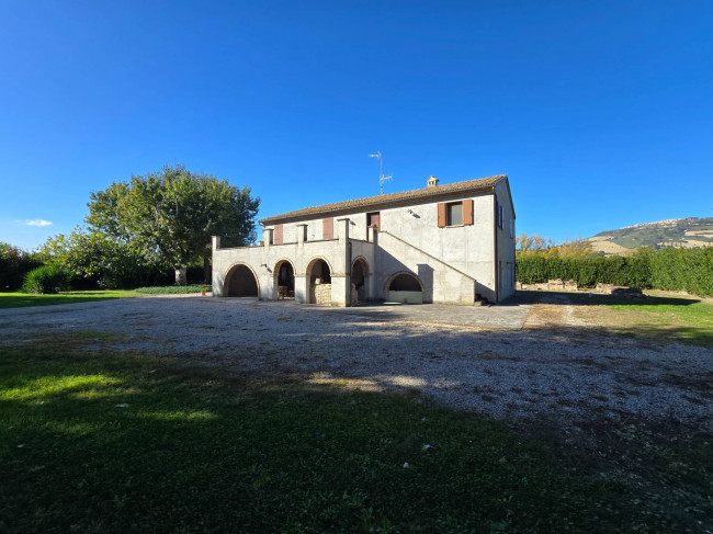 Casa singola in vendita a Montefiore dell'Aso