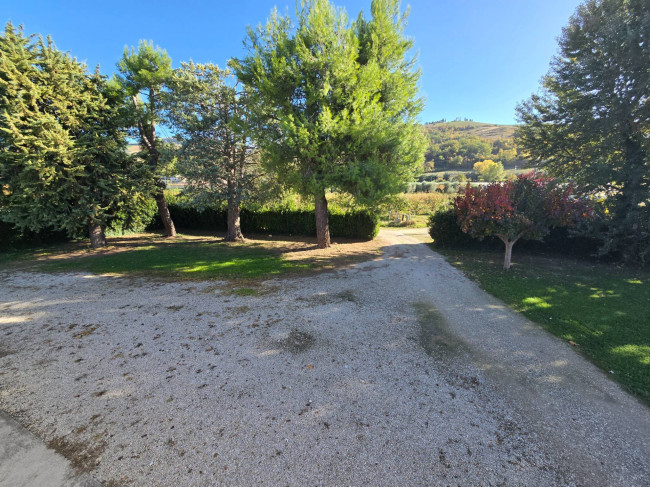 Casa singola in vendita a Montefiore dell'Aso