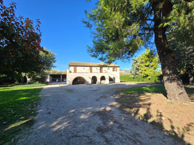 Casa singola in vendita a Montefiore dell'Aso