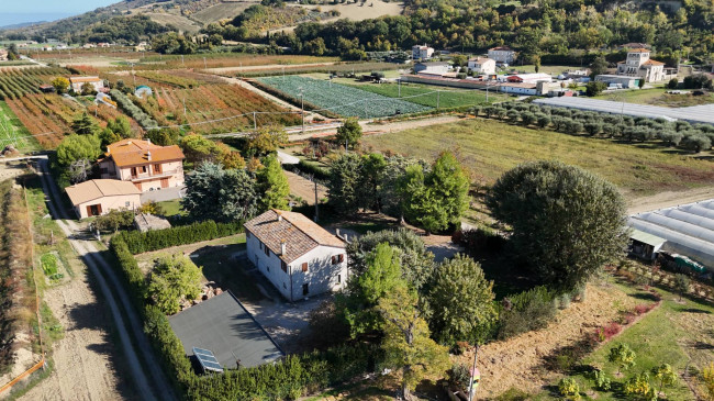 Casa singola in vendita a Montefiore dell'Aso
