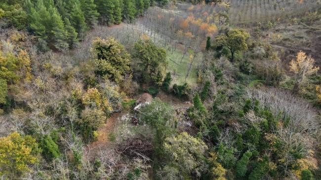 Rustic for sale in Ponzano di Fermo