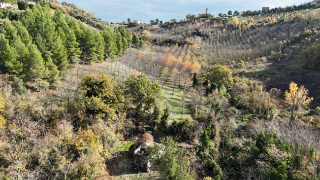 Rustic for sale in Ponzano di Fermo