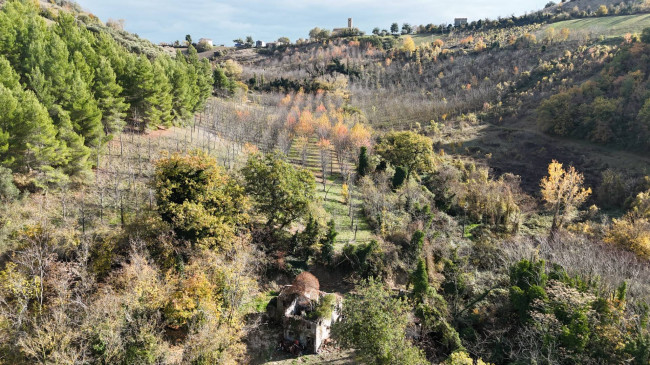 Rustic for sale in Ponzano di Fermo