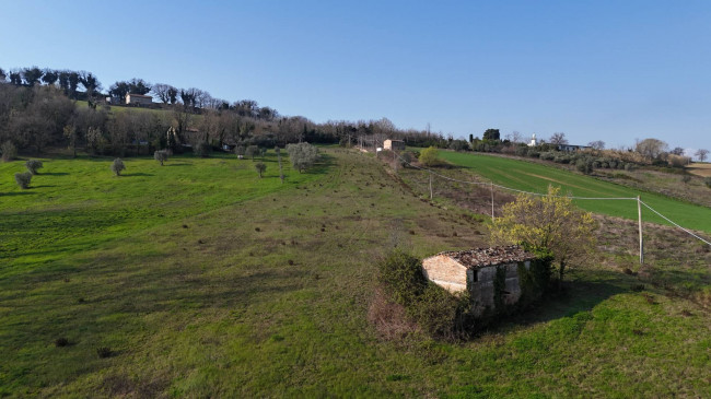 Rustic for sale in Montegiorgio