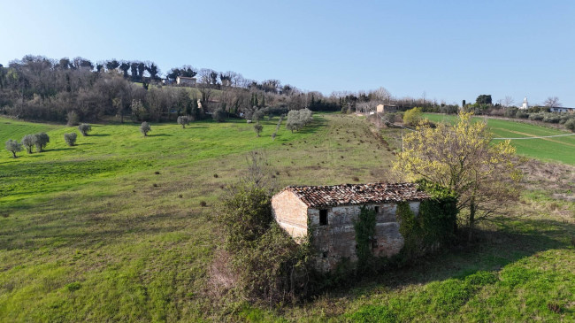 Rustic for sale in Montegiorgio