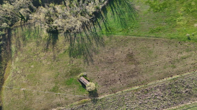 Rustic for sale in Montegiorgio