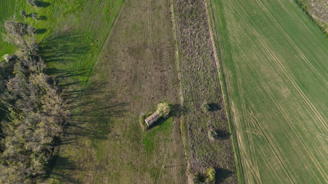 Rustic for sale in Montegiorgio