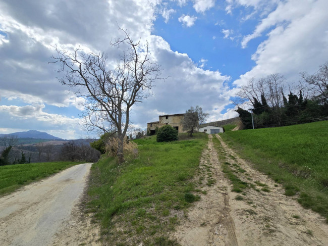 Rustic for sale in Montelparo