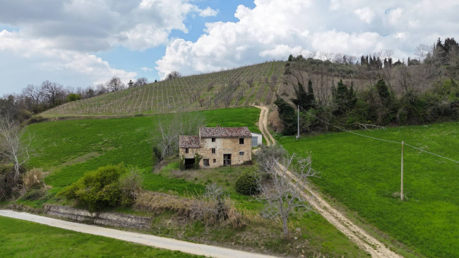 Rustic for sale in Montelparo