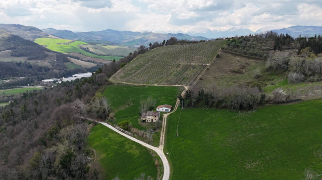 Rustic for sale in Montelparo