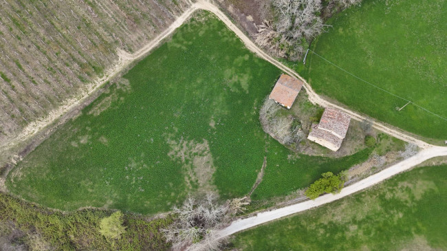 Rustic for sale in Montelparo