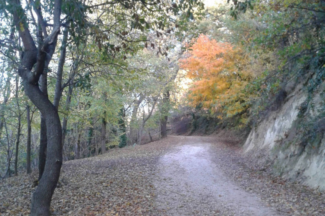 Casale in vendita a Porto Sant'Elpidio