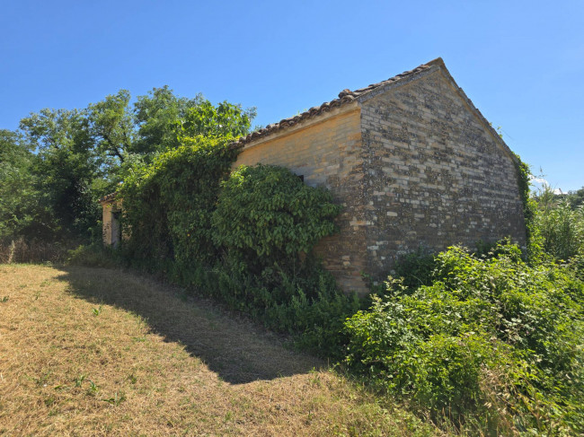 Rustico in vendita a Belmonte Piceno