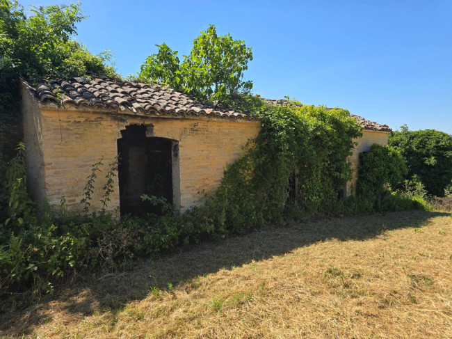 Rustico in vendita a Belmonte Piceno