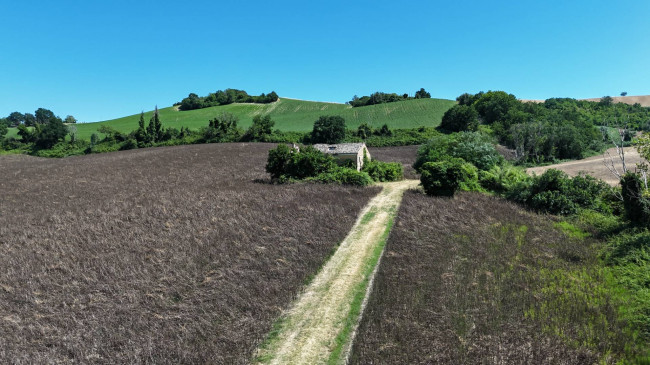 Rustico in vendita a Belmonte Piceno