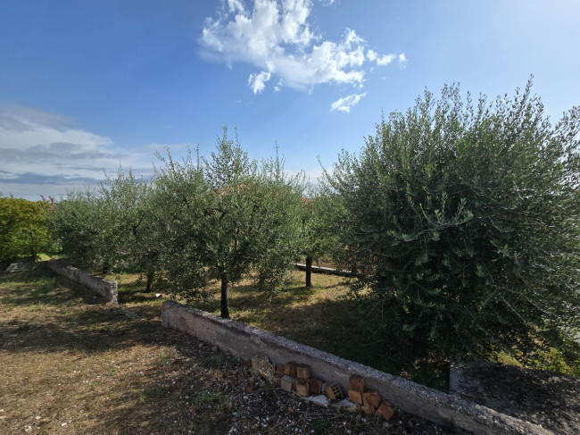 Casa singola in vendita a Grottazzolina