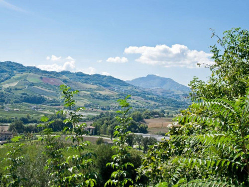 Casale in vendita a Ortezzano