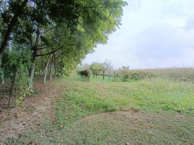 Casa indipendente in vendita a Orcenico Inferiore, Zoppola (PN)