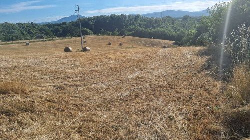 Terreno agricolo in vendita a Palestrina (RM)