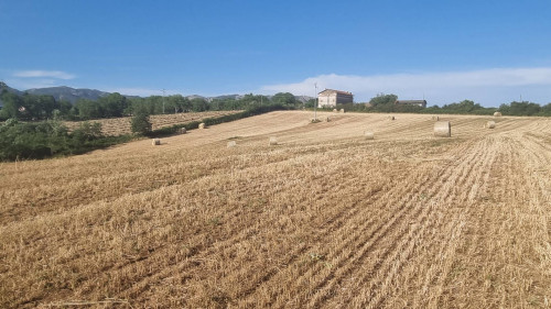Terreno agricolo in vendita a Palestrina (RM)