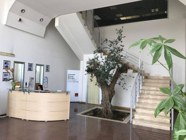 Capannone in Vendita