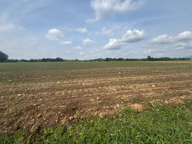 Terreno Agricolo