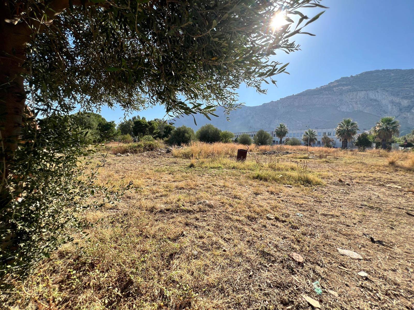 Terreno Agricolo