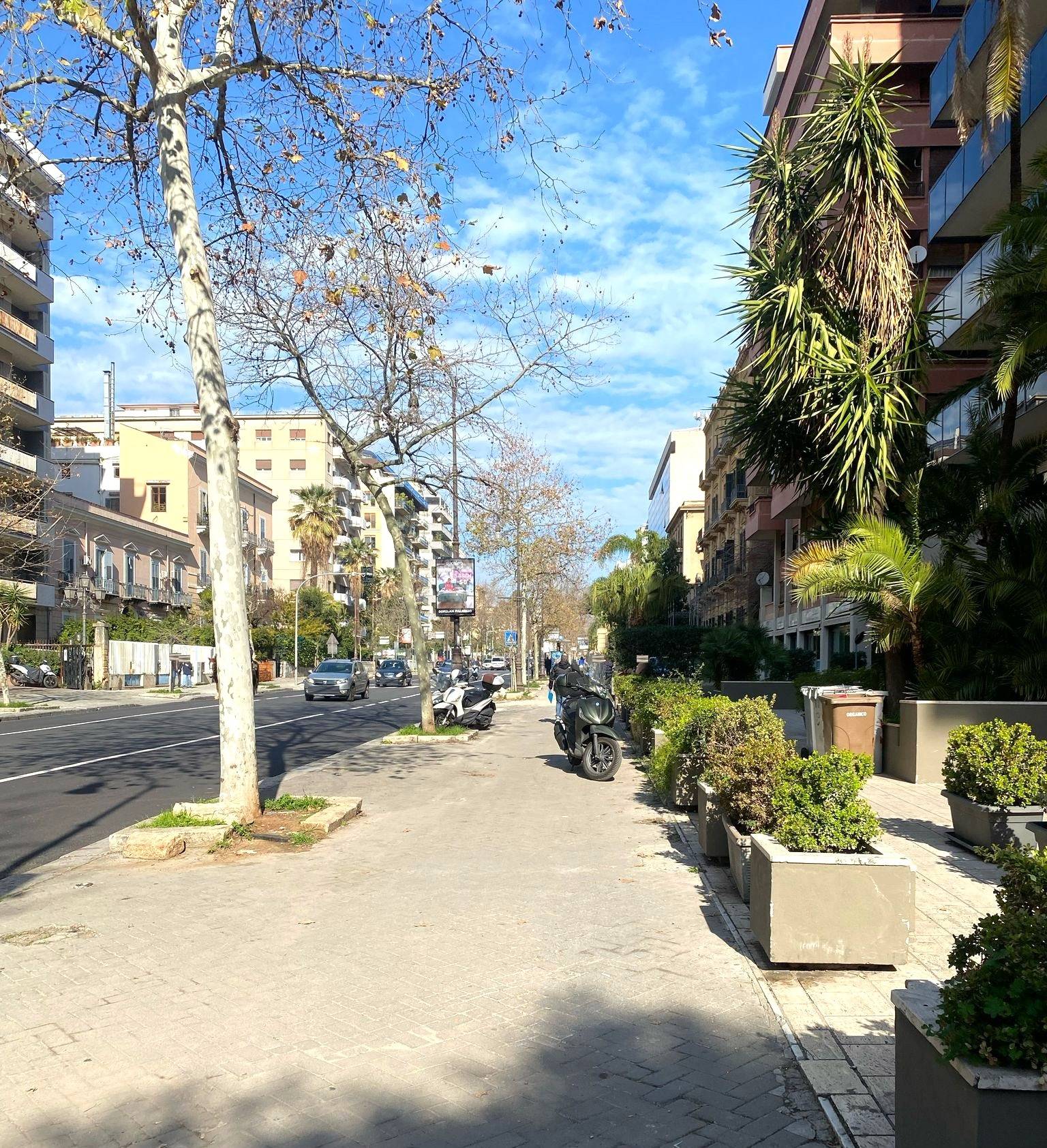 Attività commerciale