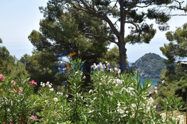 Appartamento in vendita a Bergeggi