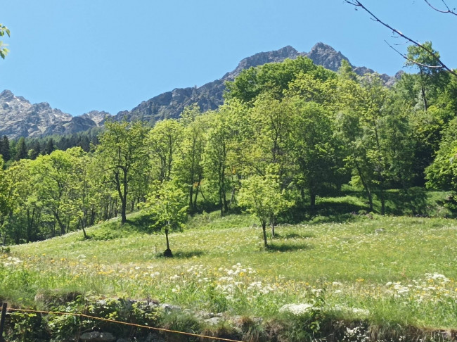 Appartamento in vendita a Alagna Valsesia