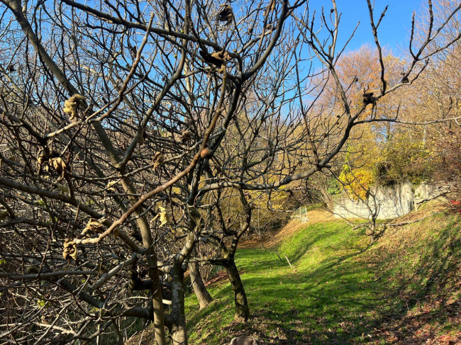 Casa singola in vendita a Cellio con Breia