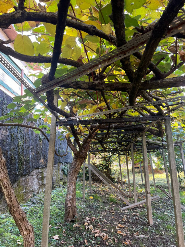 Casa singola in vendita a Cellio con Breia