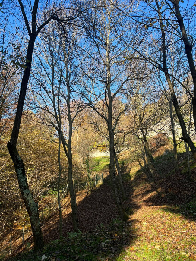 Casa singola in vendita a Cellio con Breia