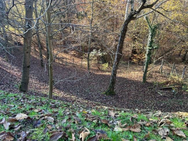 Casa singola in vendita a Cellio con Breia